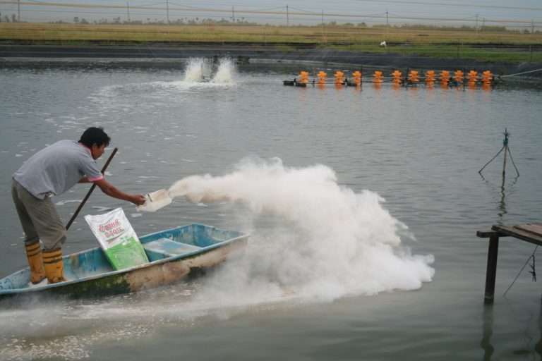 Farm – Charoen Pokphand Malaysia